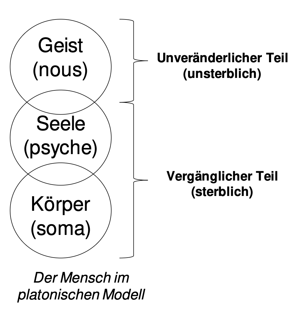 Platon Ich Seele Psyche Körper Geist