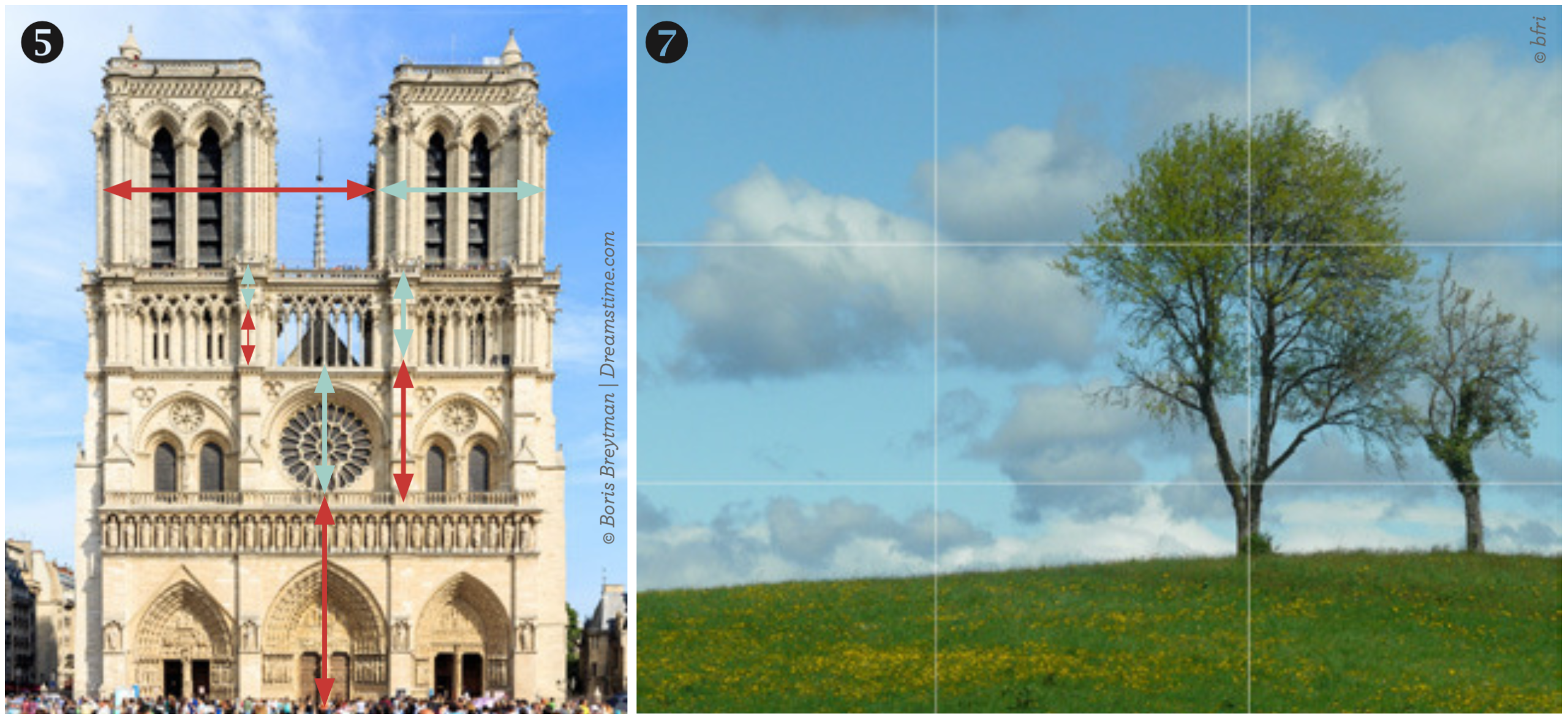 Notre-Dame Fibonacci